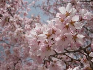 IMG_3304.jpg