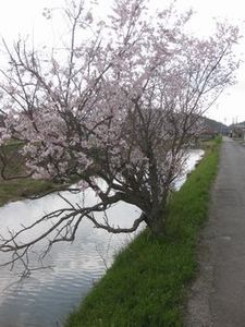 IMG_3314.jpg