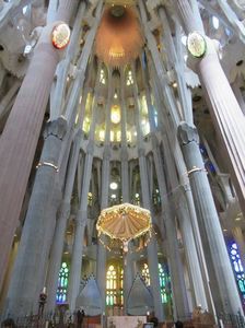 IMG_3372.jpg