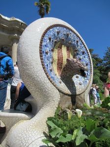 IMG_3497.jpg