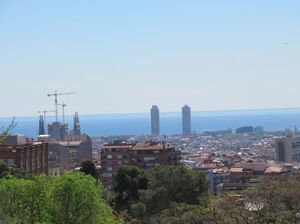 IMG_3549.jpg