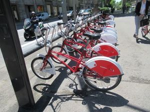 IMG_3617.jpg