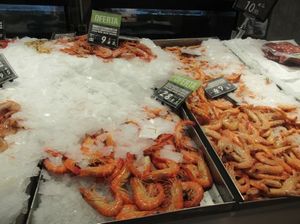 IMG_3631.jpg