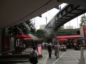 IMG_3697.jpg