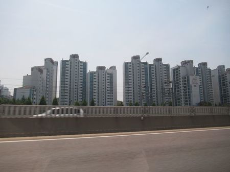 IMG_3701.jpg