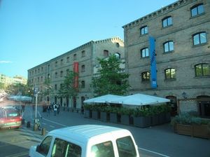 IMG_3719.jpg