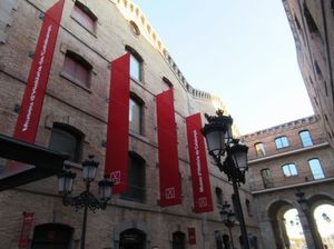 IMG_3720.jpg