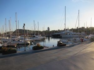IMG_3722.jpg