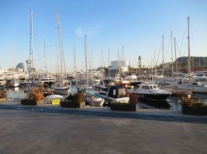 IMG_3723.jpg