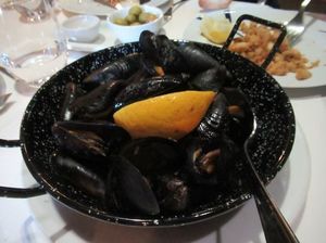 IMG_3737.jpg