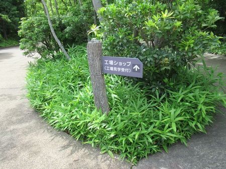 IMG_3811.jpg