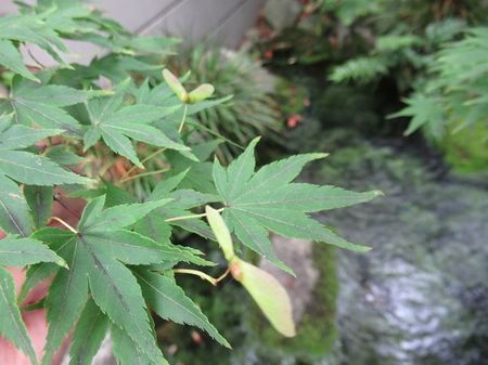 IMG_3815.jpg