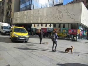 IMG_3817.jpg
