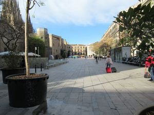 IMG_3836.jpg