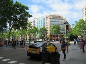IMG_3895.jpg