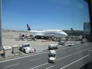 IMG_4016.jpg