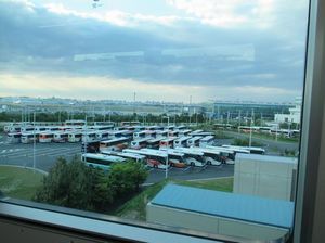 IMG_4065.jpg