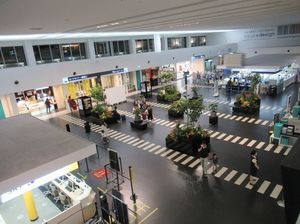 IMG_4078.jpg