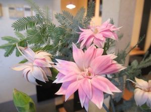 IMG_4228.jpg