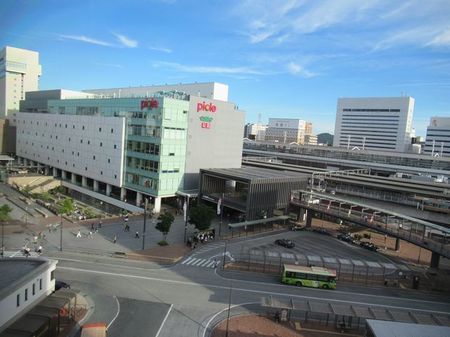 IMG_4239.jpg