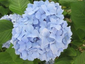 IMG_4354.jpg