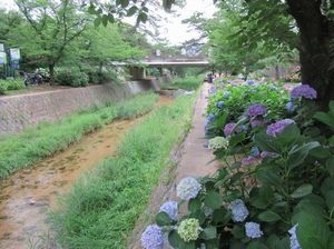 IMG_4362.jpg