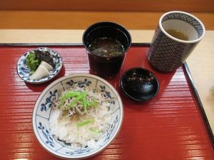 IMG_4397.jpg