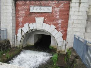 IMG_4440.jpg