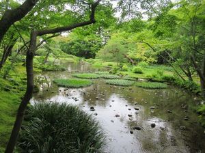 IMG_4492.jpg