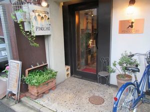 IMG_4537.jpg