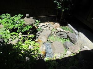 IMG_4687.jpg