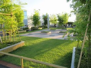 IMG_4744.jpg