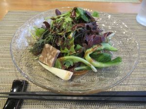 IMG_4774.jpg