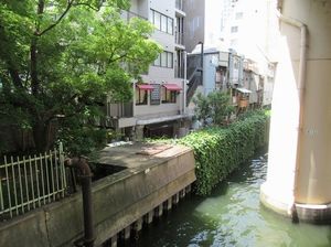 IMG_4868.jpg