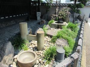 IMG_4938.jpg