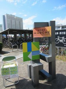 IMG_5143.jpg