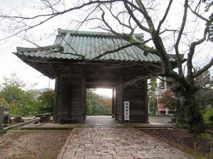 IMG_5227.jpg