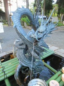 IMG_5232.jpg