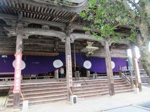 IMG_5233.jpg