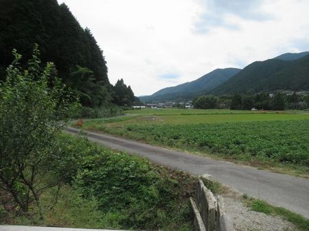 IMG_5277.jpg