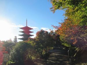 IMG_5303.jpg