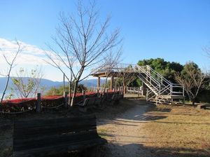 IMG_5309.jpg