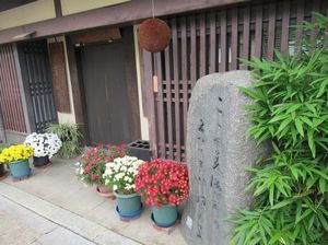 IMG_5345.jpg