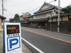 IMG_5346.jpg