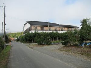 IMG_5348.jpg