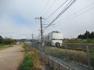 IMG_5350.jpg
