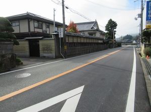 IMG_5352.jpg