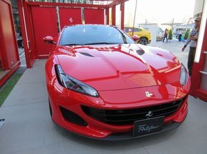 IMG_5404.jpg