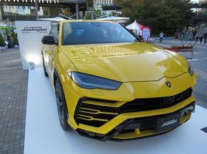 IMG_5411.jpg