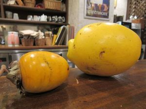IMG_5557.jpg